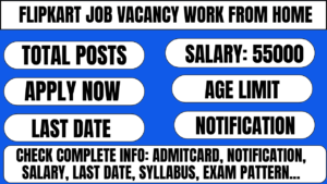 flipkart job vacancy work from home